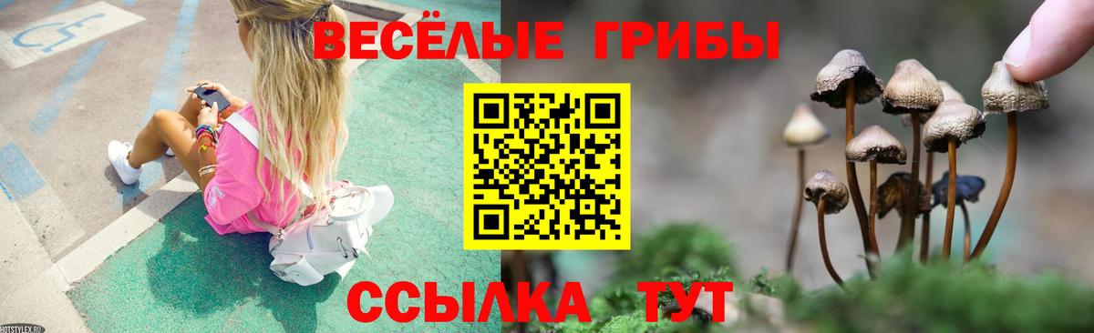 Галлюциногенные грибы мицелий  Вход с VPN  Городец 